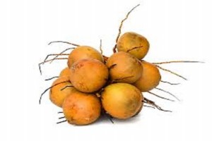 King Coconut from Sri Lanka